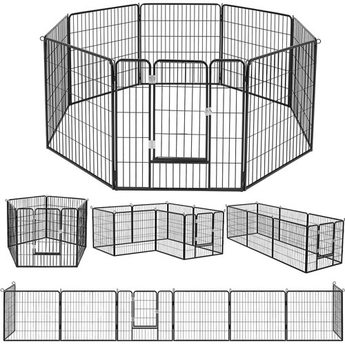 Wayfair Collapsible Dog Kennels & Pens You'll Love in 2023